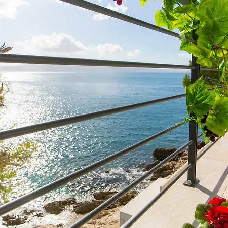 Villa Puntin - *